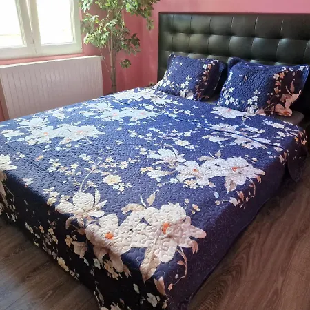 Right Choice Guest house *